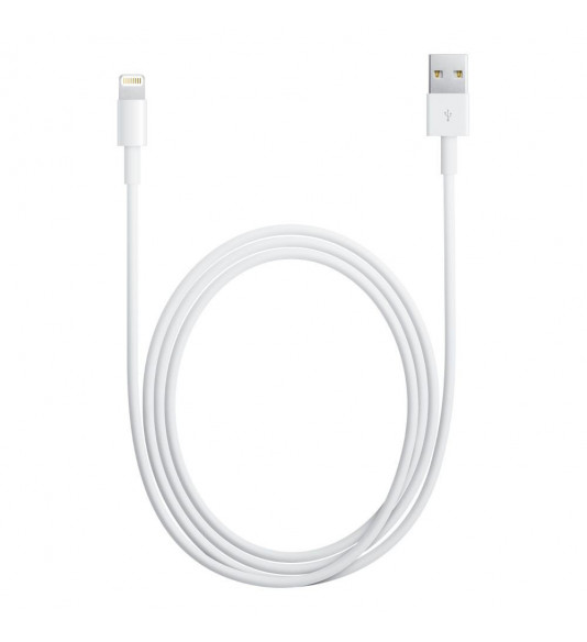 Apple Data and Charging Lightning Cable, white