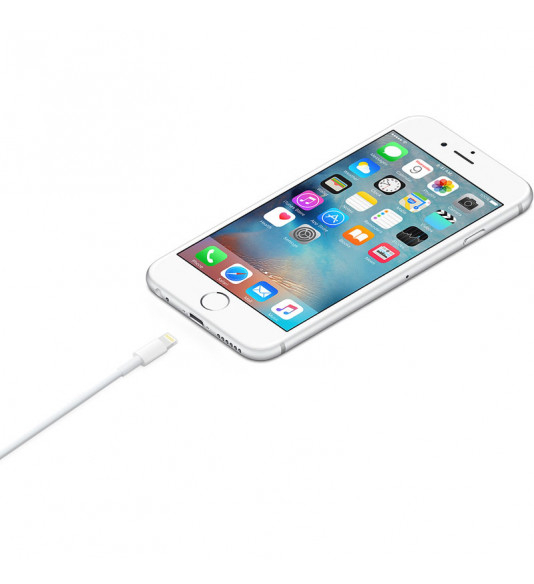 Apple Data and Charging Lightning Cable 2m, white